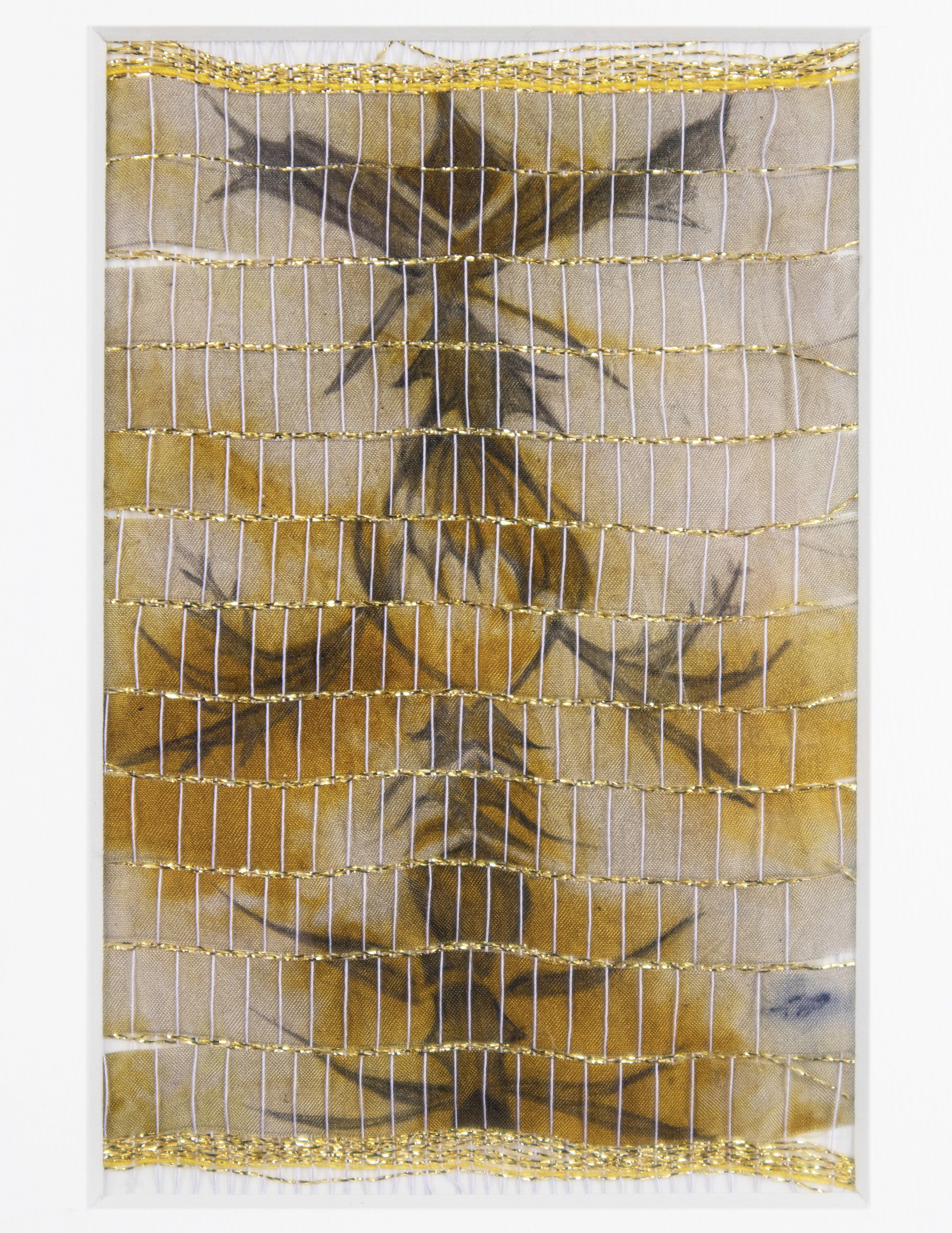 Map of Possibilities