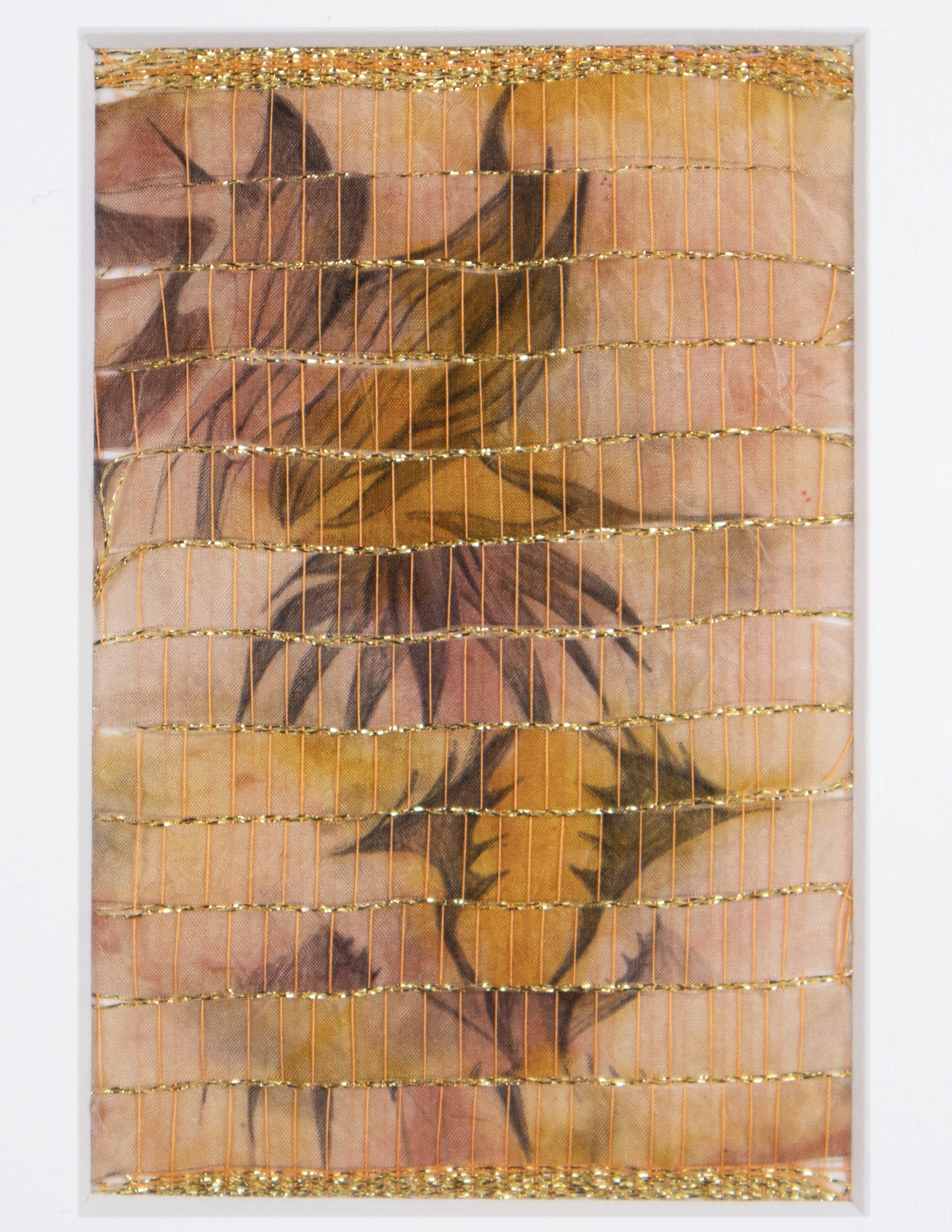 Map of Transformation